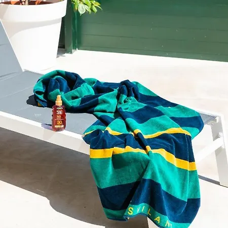 Deluxe Bracolet Private Pool 公寓 *
